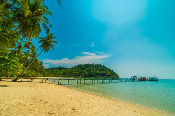 Güzel tropikal plaj ve deniz paradise Island Seyahat ve tatil için Hindistan cevizi hurma ağacı
