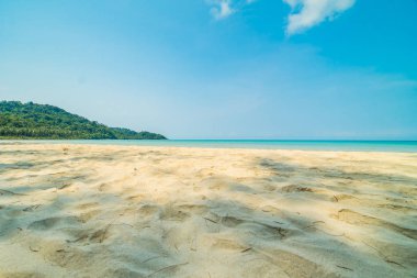 Güzel tropikal plaj ve deniz paradise Island Seyahat ve tatil için Hindistan cevizi hurma ağacı