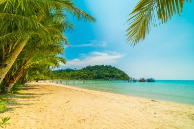 Güzel tropikal plaj ve deniz paradise Island Seyahat ve tatil için Hindistan cevizi hurma ağacı