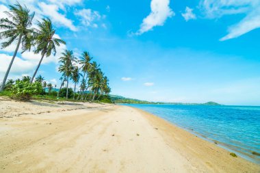 Güzel tropikal plaj ve Hindistan cevizi hurma ağacı Cennet Adası