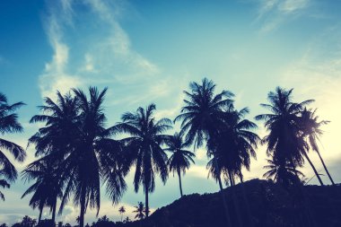 Gökyüzü günbatımı zaman - Vintage filtre tropikal doğa ve siluet Hindistan cevizi hurma ağacı ile güzel açık görünüm