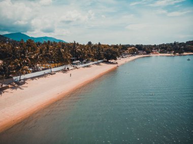 Güzel tropikal plaj ve deniz hurma ve koh samui Adası seyahat ve tatil için diğer ağacında havadan görünümü