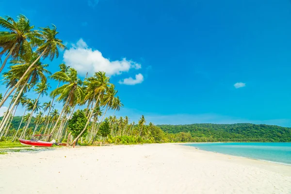Bela Natureza Praia Tropical Mar Com Coqueiro Ilha Paradisíaca Para — Fotografia de Stock