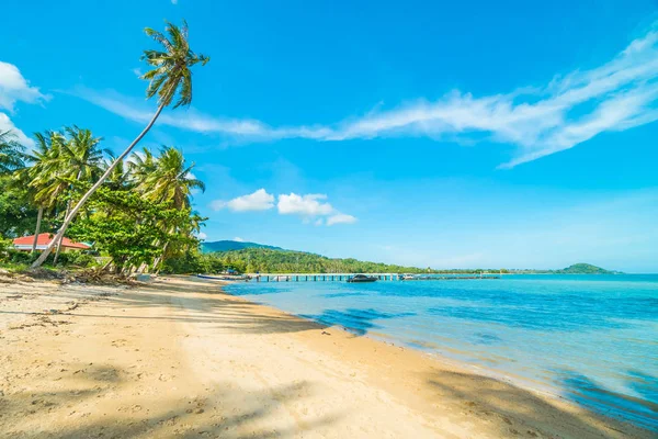 Beautiful Tropical Beach Sea Coconut Palm Tree Paradise Island — Stock Photo, Image