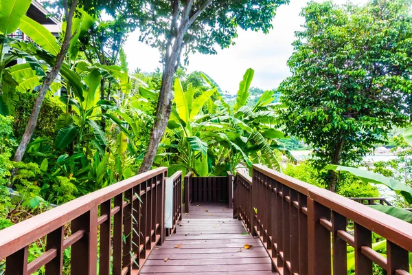 Outdoor Wooden Stair Forest Tree Travel Vacation — Stock Photo, Image