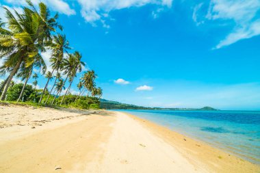 Güzel tropikal plaj ve Hindistan cevizi hurma ağacı Cennet Adası