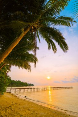 Plaj ve deniz Hindistan cevizi hurma ağacı günbatımı zaman - tatil tatil ve seyahat kavramı etrafında güzel Cennet Adası