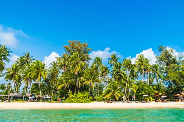 美丽的热带海滩和海与椰子棕榈树在天堂海岛 假日假期概念 — 图库照片