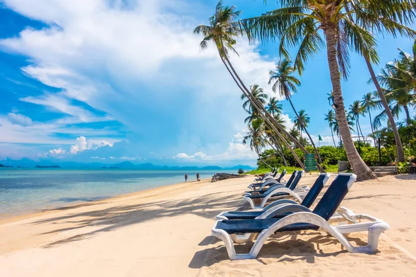 여행에 코코넛 나무와 바다와 해변에 우산과의 — 스톡 사진