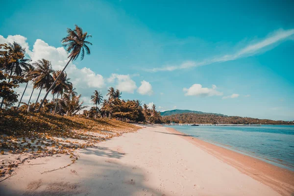 Beautiful Tropical Beach Sea Coconut Palm Tree Paradise Island — Stock Photo, Image