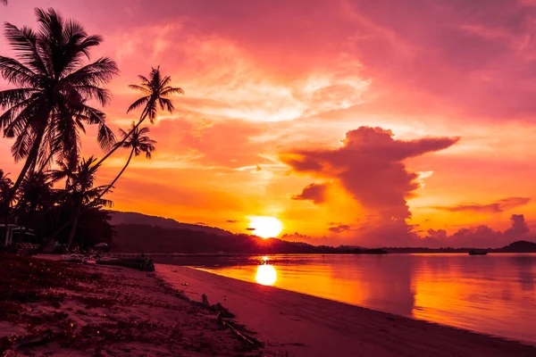 Kaunis Näköala Merelle Rannalle Trooppisella Kookospalmulla Auringonnousun Aikaan Lomalle Matkalle — kuvapankkivalokuva