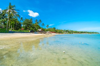 Güzel tropikal plaj deniz ve kum mavi gökyüzü ve beyaz bulut seyahat ve tatil için Hindistan cevizi hurma ağacı ile