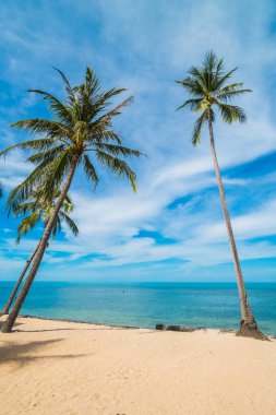 Güzel tropikal plaj deniz ve kum mavi gökyüzü ve beyaz bulut seyahat ve tatil için Hindistan cevizi hurma ağacı ile