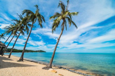 Güzel tropikal plaj deniz ve kum mavi gökyüzü ve beyaz bulut seyahat ve tatil için Hindistan cevizi hurma ağacı ile
