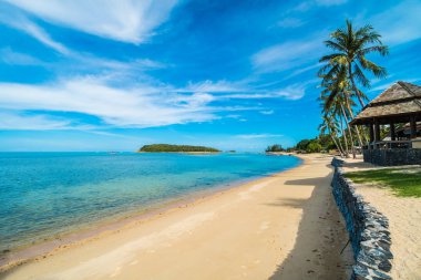 Güzel tropikal plaj deniz ve kum mavi gökyüzü ve beyaz bulut seyahat ve tatil için Hindistan cevizi hurma ağacı ile