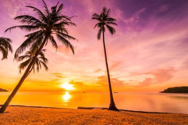 Günbatımı zaman tropik cennet ada plaj ve deniz ile Hindistan cevizi palmiye ağacı üzerinde tatil ve tatil için