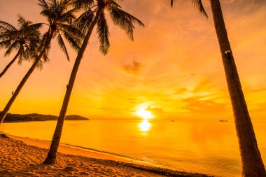 Günbatımı zaman tropik cennet ada plaj ve deniz ile Hindistan cevizi palmiye ağacı üzerinde tatil ve tatil için