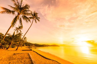 Günbatımı zaman tropik cennet ada plaj ve deniz ile Hindistan cevizi palmiye ağacı üzerinde tatil ve tatil için