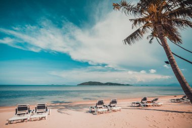 Güzel tropikal plaj ve Hindistan cevizi hurma ağacı ve Cennet Adası sandalyede denize sıfır