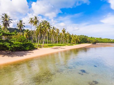 Güzel tropikal plaj ve deniz hurma ve koh samui Adası seyahat ve tatil için diğer ağacında havadan görünümü