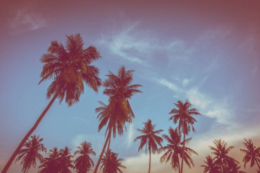 Gökyüzü günbatımı zaman - Vintage filtre tropikal doğa ve siluet Hindistan cevizi hurma ağacı ile güzel açık görünüm