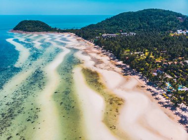 Seyahat ve tatil için adada güzel tropikal plaj ve deniz ağaçları ile havadan görünümü