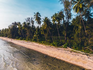 Seyahat ve tatil için adada güzel tropikal plaj ve deniz ağaçları ile havadan görünümü