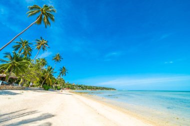 Güzel tropikal plaj deniz ve kum mavi gökyüzü ve beyaz bulut seyahat ve tatil için Hindistan cevizi hurma ağacı ile
