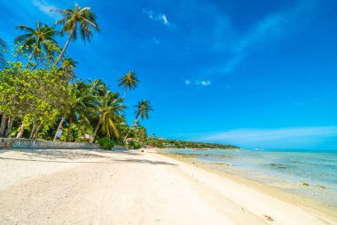 Güzel tropikal plaj deniz ve kum mavi gökyüzü ve beyaz bulut seyahat ve tatil için Hindistan cevizi hurma ağacı ile
