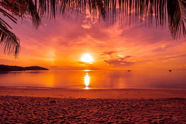 Pôr Sol Ilha Paradisíaca Tropical Praia Mar Com Coqueiro Para — Fotografia de Stock