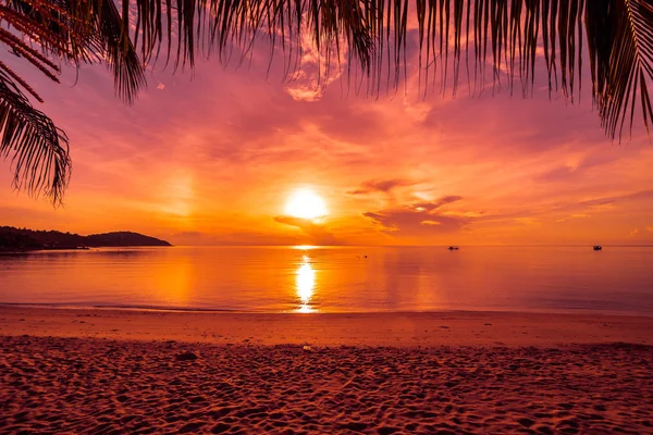 Napnyugta Időpontja Trópusi Paradicsomban Island Beach Kókusz Pálma Tenger Üdülés — Stock Fotó