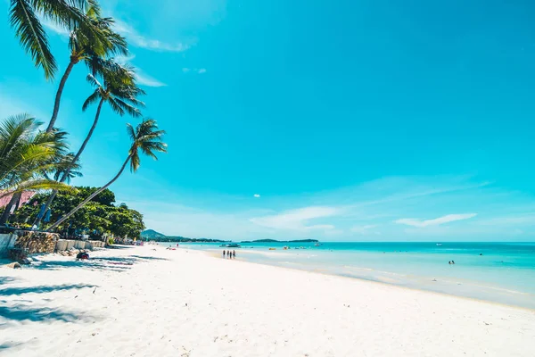 Hermosa Playa Tropical Mar Con Silla Cielo Azul Para Viajes —  Fotos de Stock