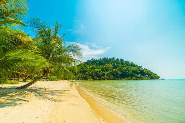 Belle Plage Tropicale Mer Avec Cocotier Dans Île Paradisiaque Pour — Photo