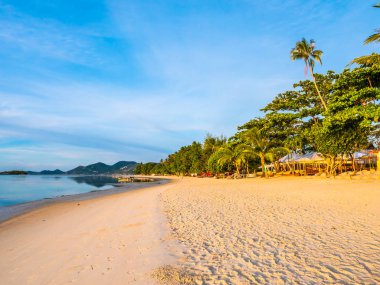 Güzel tropikal plaj ve deniz ile Hindistan cevizi hurma ağacının seyahat ve tatil