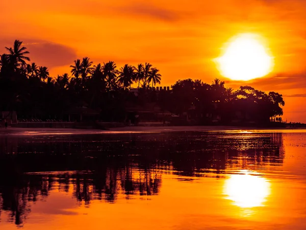 Güzel tropikal plaj deniz ve okyanus ile Hindistan cevizi hurma ağacı gündoğumu zaman seyahat ve tatil için