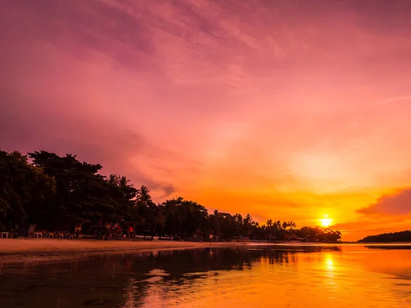 Piękna Plaża Tropikalne Morze Ocean Palmy Kokosowe Drzewo Czasie Wschodu — Zdjęcie stockowe