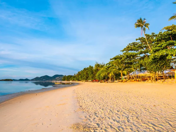 Güzel tropikal plaj ve deniz ile Hindistan cevizi hurma ağacının seyahat ve tatil