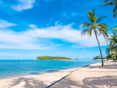 Güzel tropikal plaj ve deniz ile Hindistan cevizi hurma ağacının seyahat ve tatil