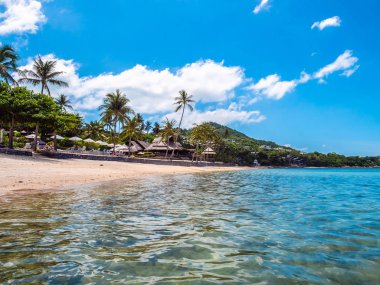 Güzel tropikal plaj ve deniz ile Hindistan cevizi hurma ağacının seyahat ve tatil