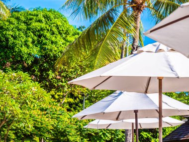 Hindistan cevizi hurma ağacı ile deniz okyanus seyahat ve tatil için mavi gökyüzü arka plan üzerinde Beyaz şemsiye