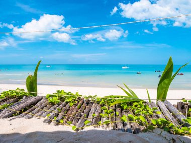 Güzel tropikal plaj deniz ve okyanus seyahat etmek ve kopya alanı ile tatil için