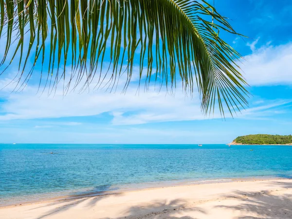 Hermosa Playa Tropical Mar Con Palmera Coco Para Viajes Vacaciones —  Fotos de Stock