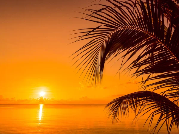 Beautiful tropical beach sea and ocean with coconut palm tree at sunrise time for travel and vacation