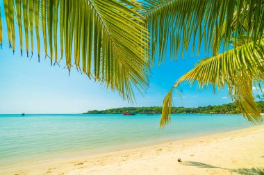 Güzel tropikal plaj ve deniz paradise Island Seyahat ve tatil için Hindistan cevizi hurma ağacı