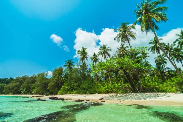 美丽的天堂海岛与海和海滩风景在椰子棕榈树附近 假日假期概念 — 图库照片