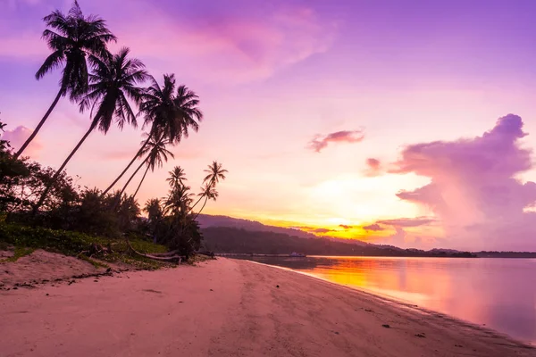 Güzel açık görünüm ea okyanus ve plaj tropikal Hindistan cevizi hurma ağacı gündoğumu zaman tatil tatil ve seyahat için