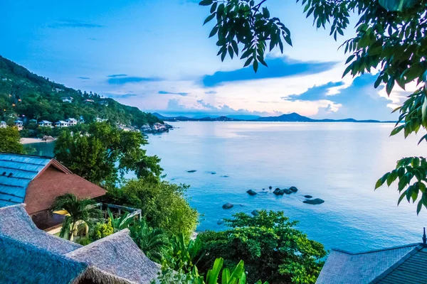 Prachtige Tropische Zee Oceaan Met Coconut Palm Tree Paradijseiland Bij — Stockfoto