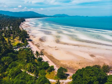 Seyahat ve tatil için adada güzel tropikal plaj ve deniz ağaçları ile havadan görünümü
