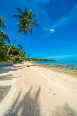 Güzel tropikal plaj deniz ve kum mavi gökyüzü ve beyaz bulut seyahat ve tatil için Hindistan cevizi hurma ağacı ile