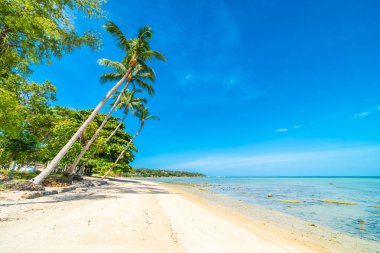 Güzel tropikal plaj deniz ve kum mavi gökyüzü ve beyaz bulut seyahat ve tatil için Hindistan cevizi hurma ağacı ile